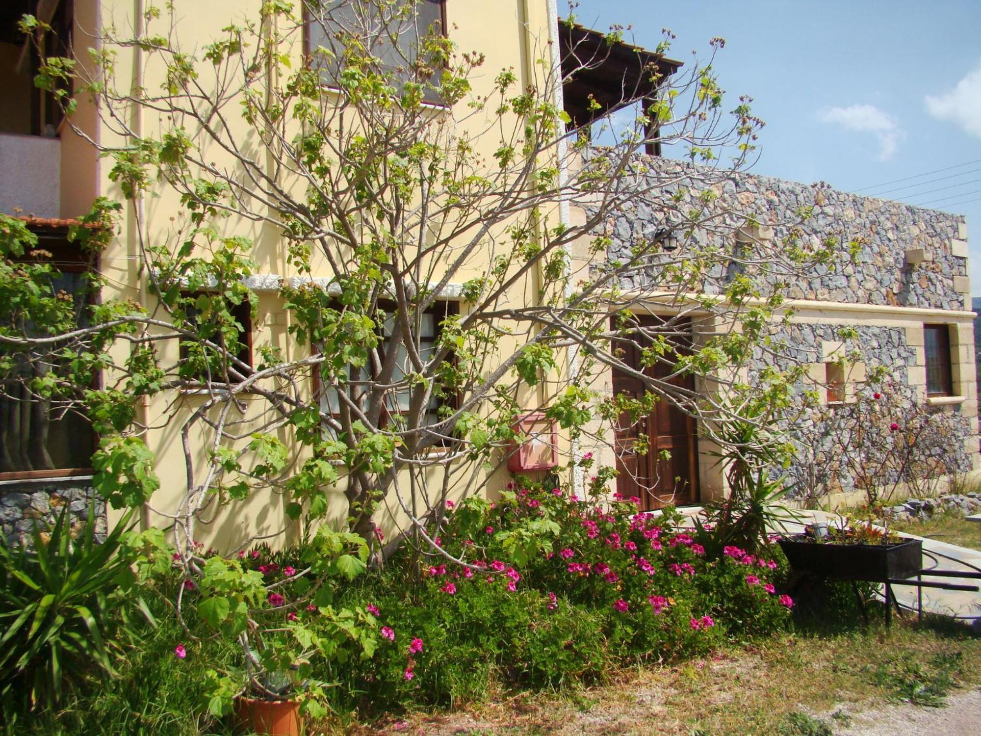 Drapania Beach Marinakis Kissamos Exterior photo